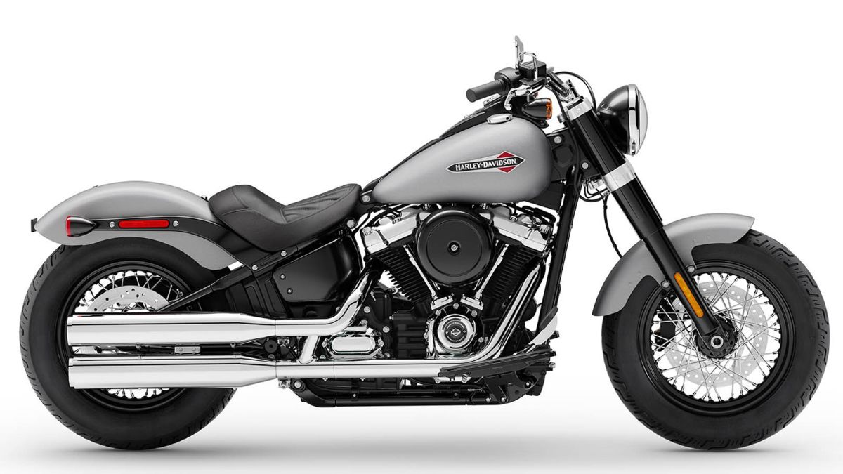 Harley-Davidson Softail สีเทา Grey