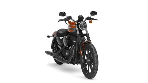 Harley-Davidson Iron 883 2021 ภายนอก 005